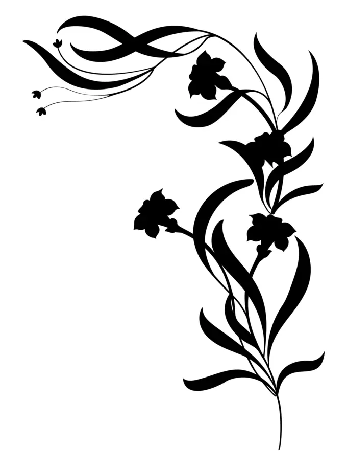 Flowers in silhouette