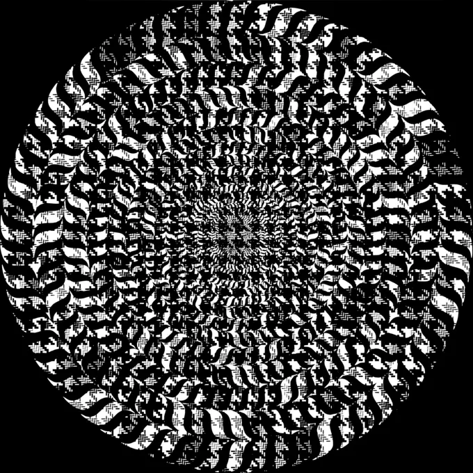 Black and white circle on a background