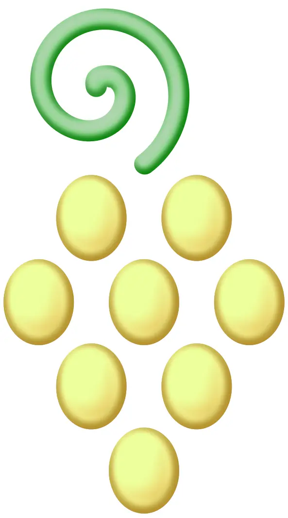 Bunch of green grapes