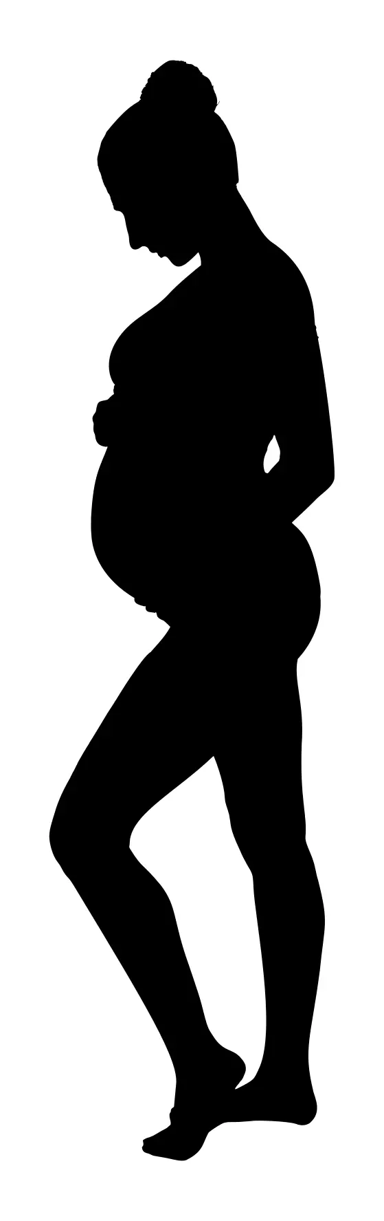 Pregnancy Silhouette Clip Art