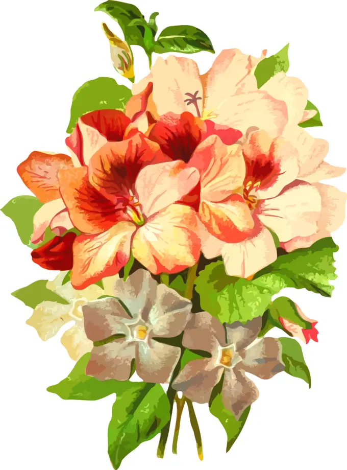 Colorful flowers bouquet