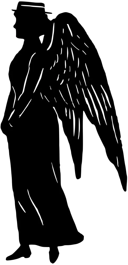 Lady angel silhouette