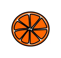 Sliced orange vector image