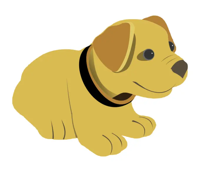 Cute yellow dog