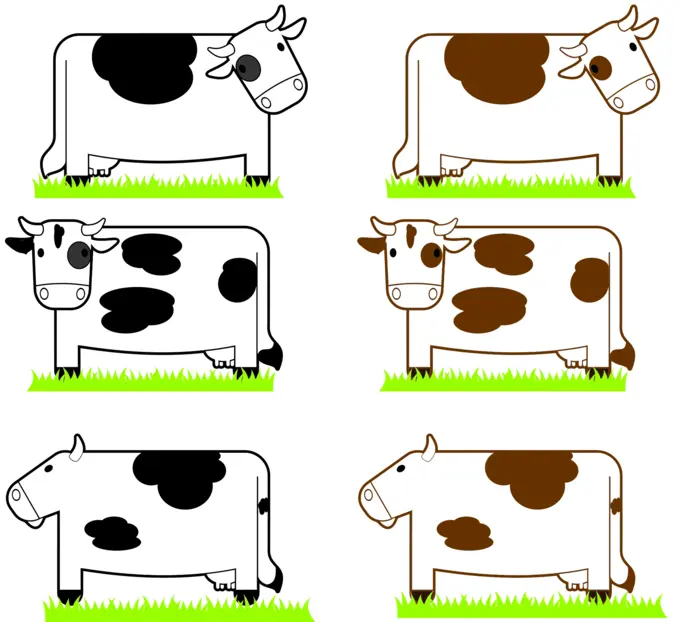 Black and brown cows image