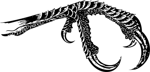 Bird claw silhouette