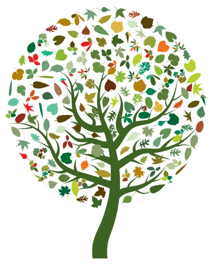 Colorful abstract tree