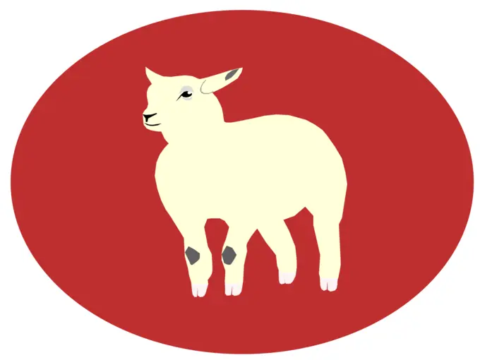 A lamb