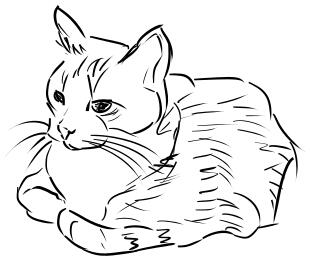 Cat vector sketch