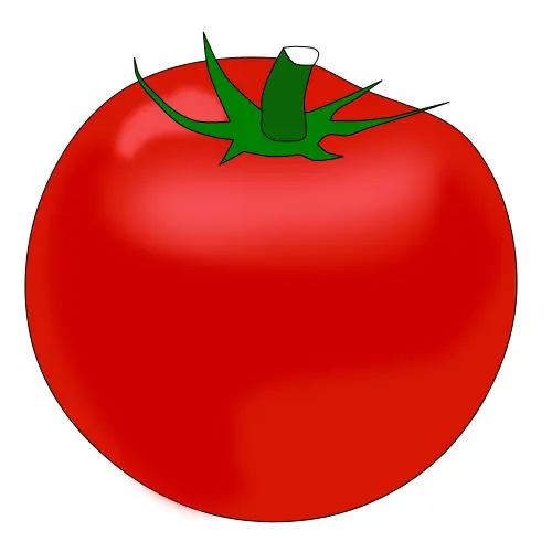 Big tomato