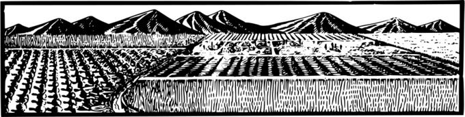 Farm fields