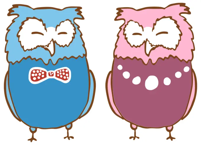 Pair of owls