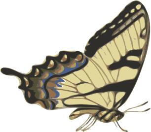 Side view of brown butterfly vector image