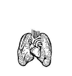 Human lungs and heart vector illustration