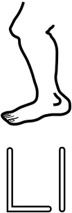 L is for Leg alphabet learning guide vector drawing