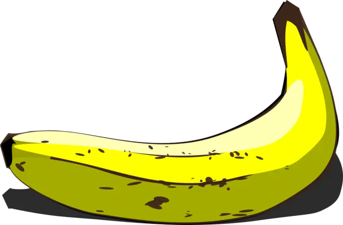 Whole banana in pairing vector image