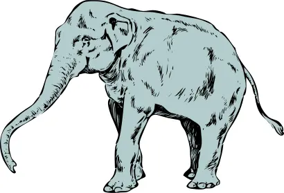 Vector clip art of blue young elephant