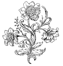 Vector illustration of stem flower
