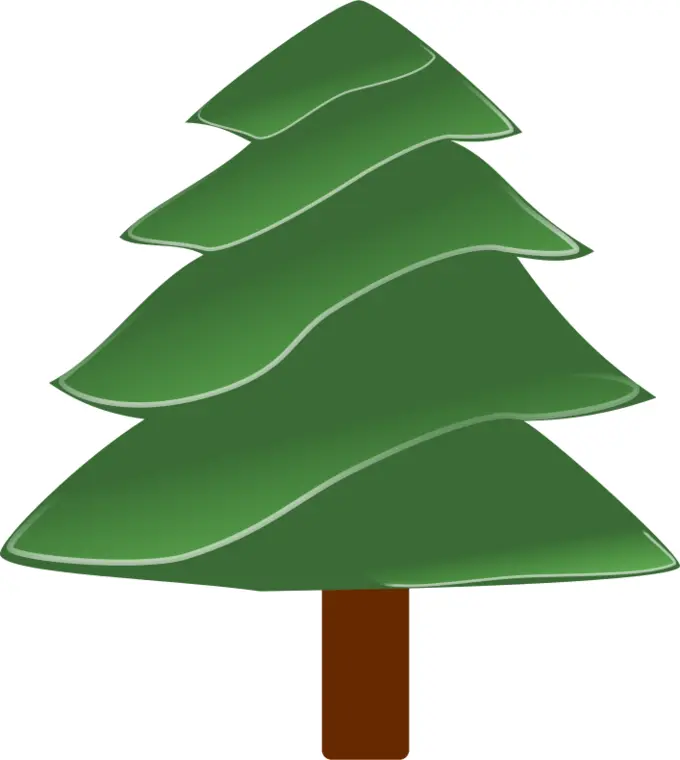 Simple evergreen vector image
