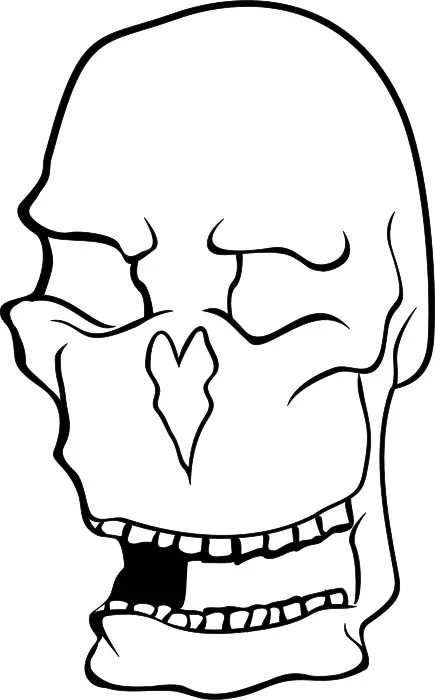 Clip art of old man's skull