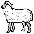 Vector clip art of line art of simple sheep