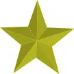 Vector image of golden star