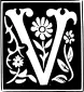 Vector image of decorative letter V