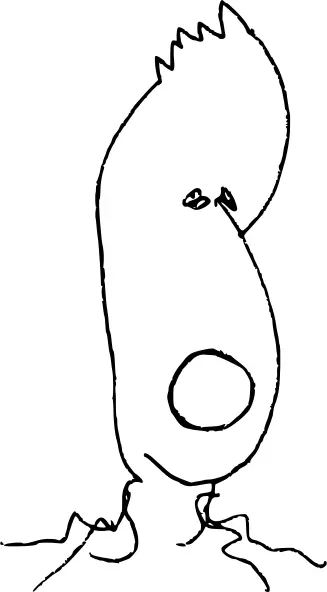 Vector drawing of cactus shaped head