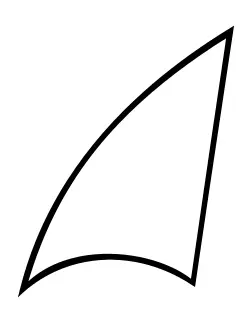 Vector image of lineart shark fin