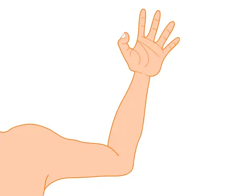 Vector illustration of thin male arm
