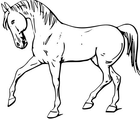 Walking horse line art vector drawing