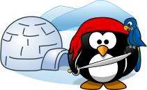 Vector image of pirate penguin in Antartica
