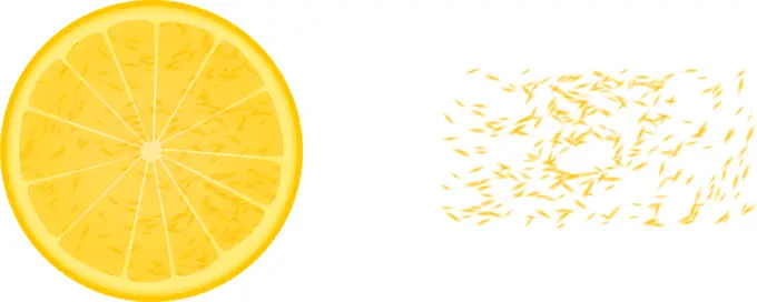 Half orange and orange bits vector clip art