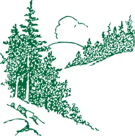 Pines in the mountain vector image