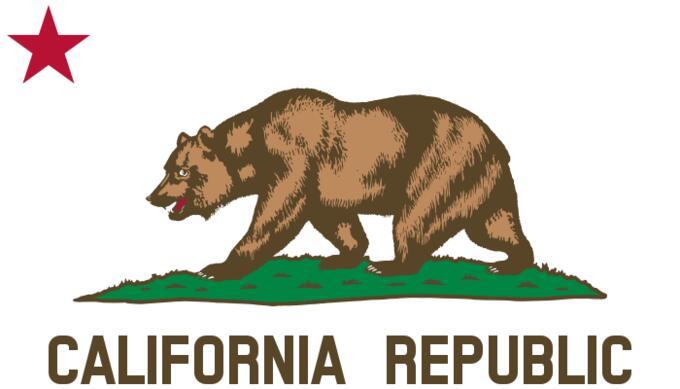 Detail from flag of California Republic vector image