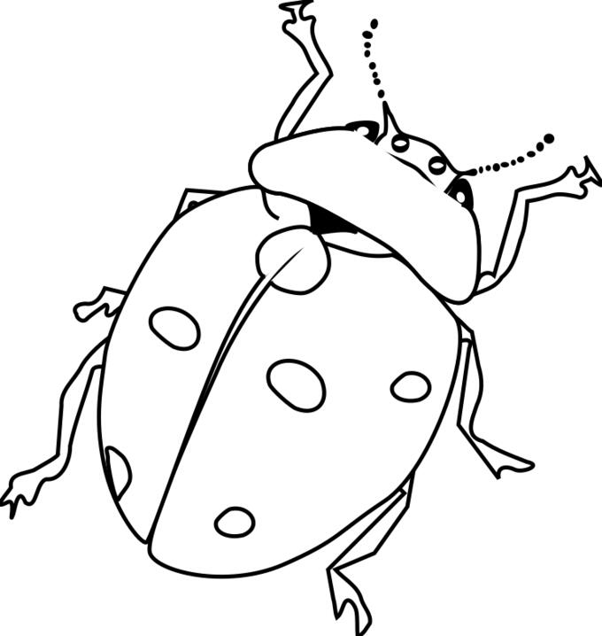Ladybug line art vector drawing