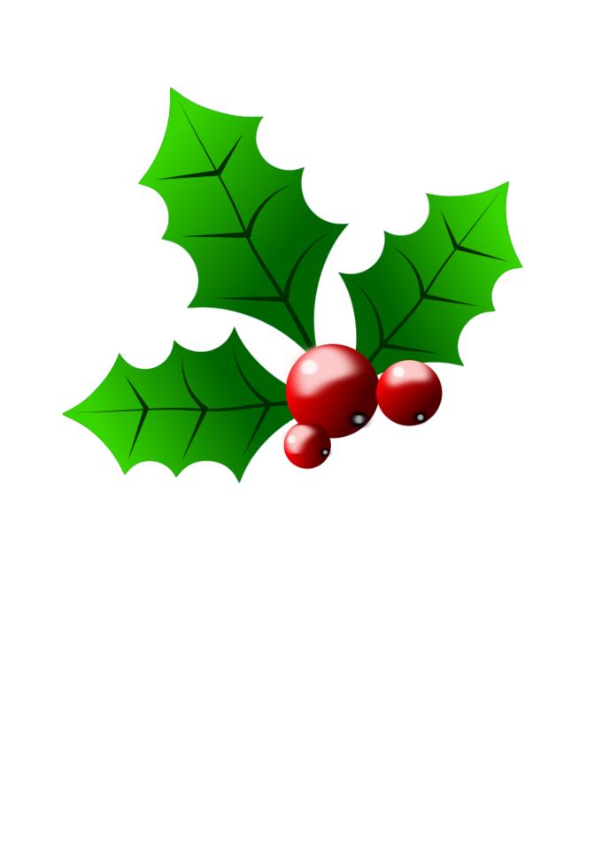 Vector clip art of season holly detail