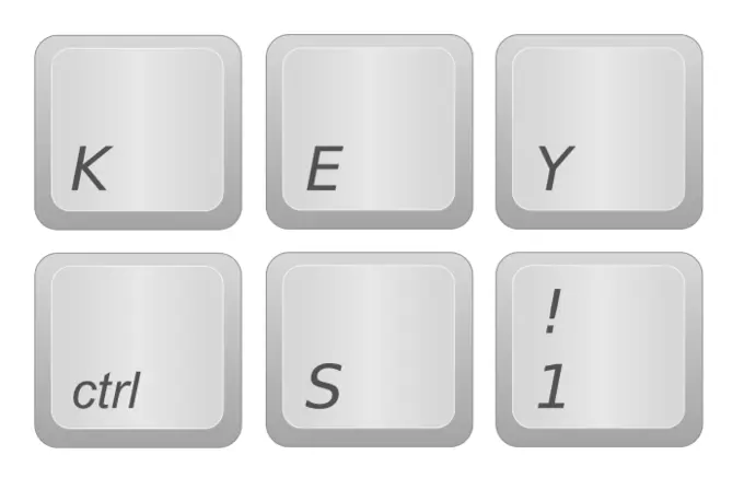 Computer keys vector image