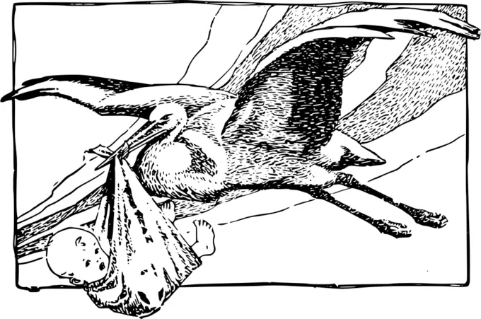 Stork delivering a baby vector image