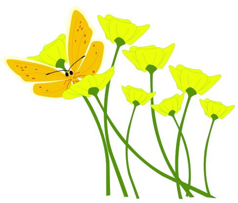 Butterfly on flower vector image