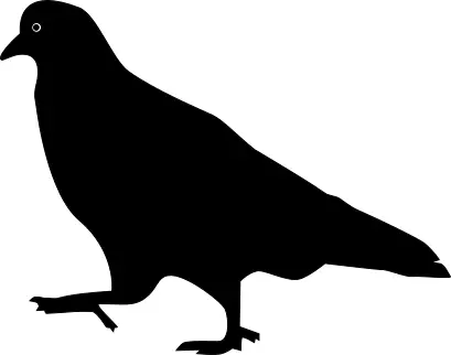 Pigeon walking silhouette vector image