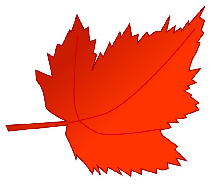 Red and orange maple leaf vector image