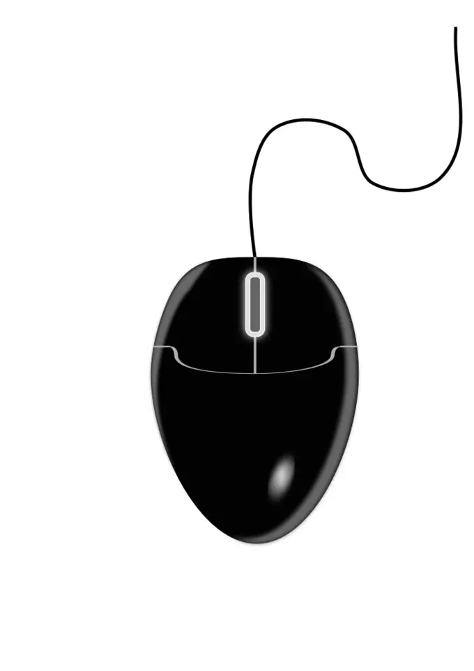 Vector illustration of black computer mouse 2