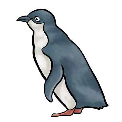 Penguin vector drawing