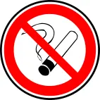 No smoking prohibition sign vector image