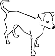 Vector line drawing of a dog