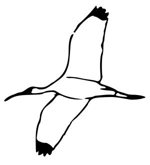 Bird flying up vector image