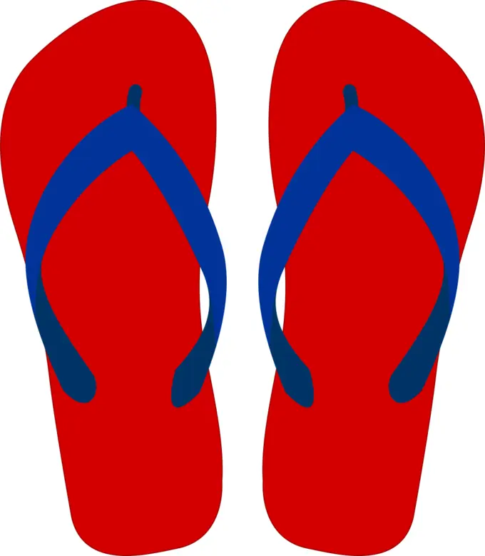 Flipflops vector drawing