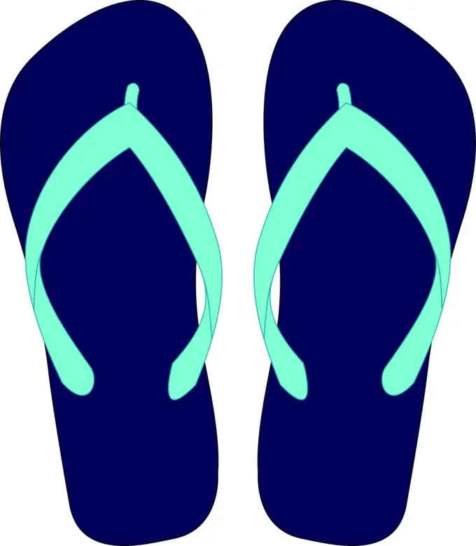 Flipflops vector drawing