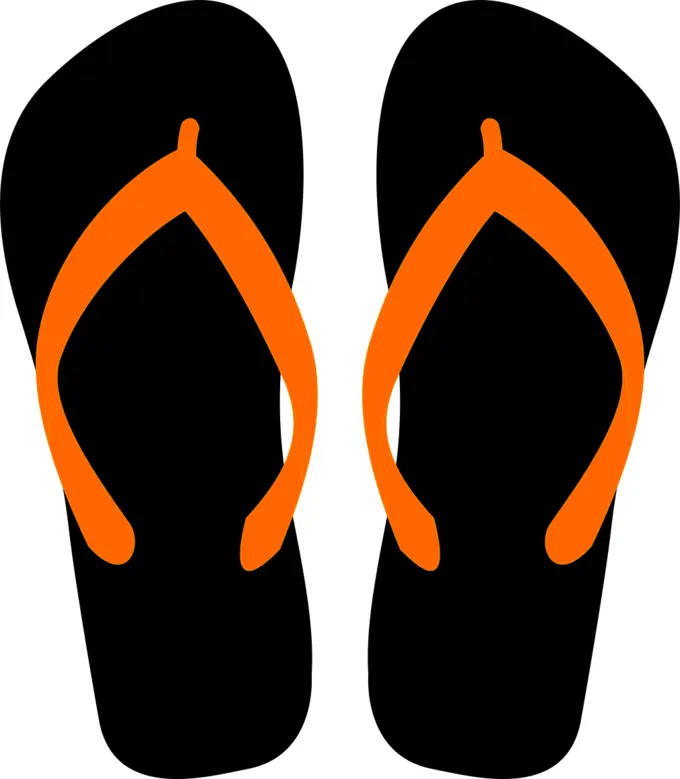 Flipflops vector illustration